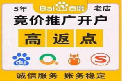 探索sem竞价广告的奥秘：从案例看效果提升